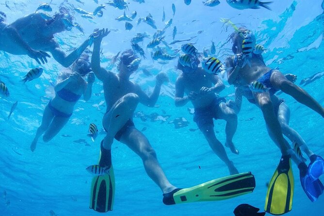 From Dubai: Snorkeling trip in Fujairah - What You May See Beneath the Surface