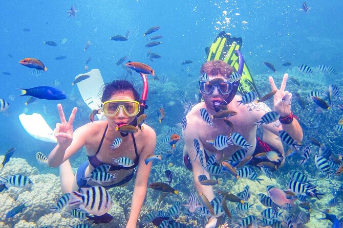 From Dubai: Snorkeling trip in Fujairah - One Snorkeling Stop or a Full Boat Day?