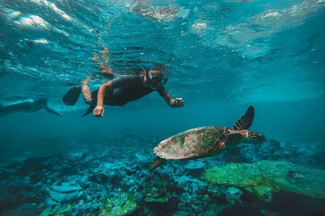 From Dubai: Snorkeling trip in Fujairah - Food, Drinks, Showers, and the Missing Towel