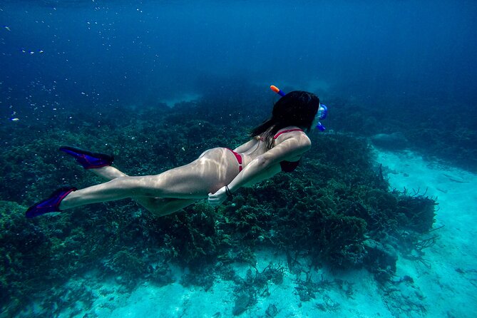 From Dubai: Snorkeling trip in Fujairah - Who Will Enjoy This Fujairah Outing?
