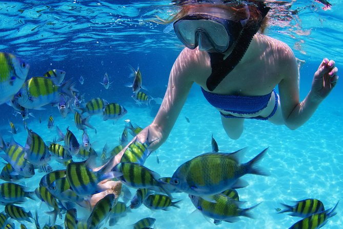 From Dubai: Snorkeling trip in Fujairah - Fujairah’s Mountains and Coastal Change