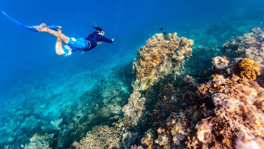 From Dubai: Snorkeling Trip to Dibba Al-Fujairah - Why the Gulf of Oman makes a good day trip from Dubai