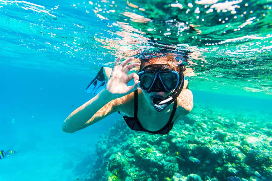 From Dubai: Snorkeling Trip to Dibba Al-Fujairah - Getting ready at the Nemo center