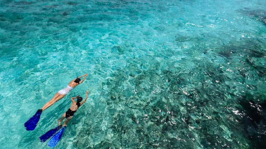 From Dubai: Snorkeling Trip to Dibba Al-Fujairah - Comfort, snacks, and the trip back