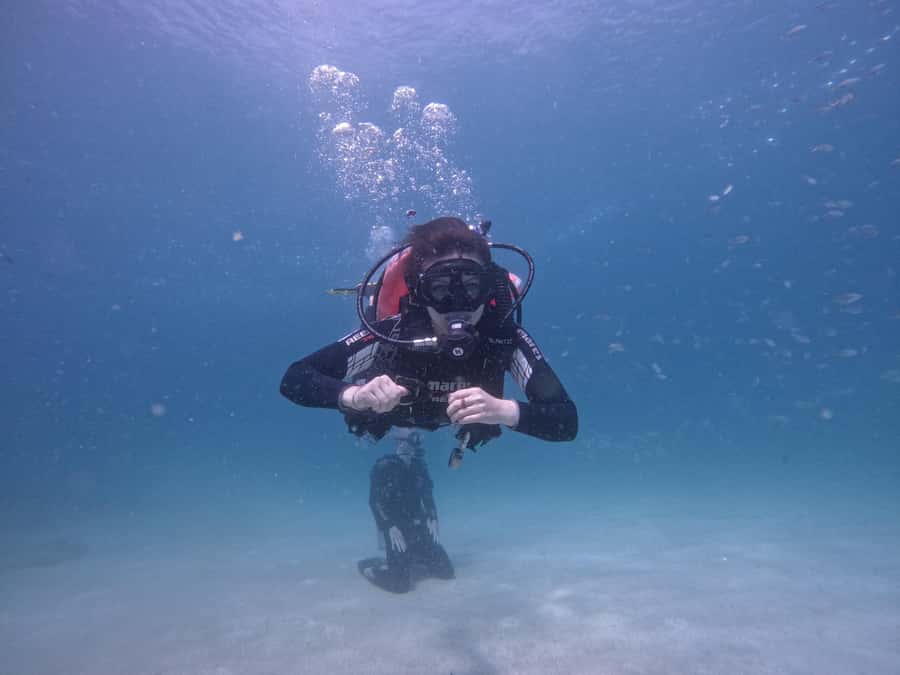 From Dubai: Try Scuba Diving, Snorkeling with BBQ & Transfer - Key Points To Know Before You Book