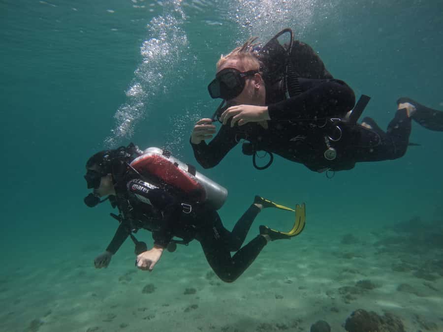 From Dubai: Try Scuba Diving, Snorkeling with BBQ & Transfer - Underwater Photos That Capture The Day
