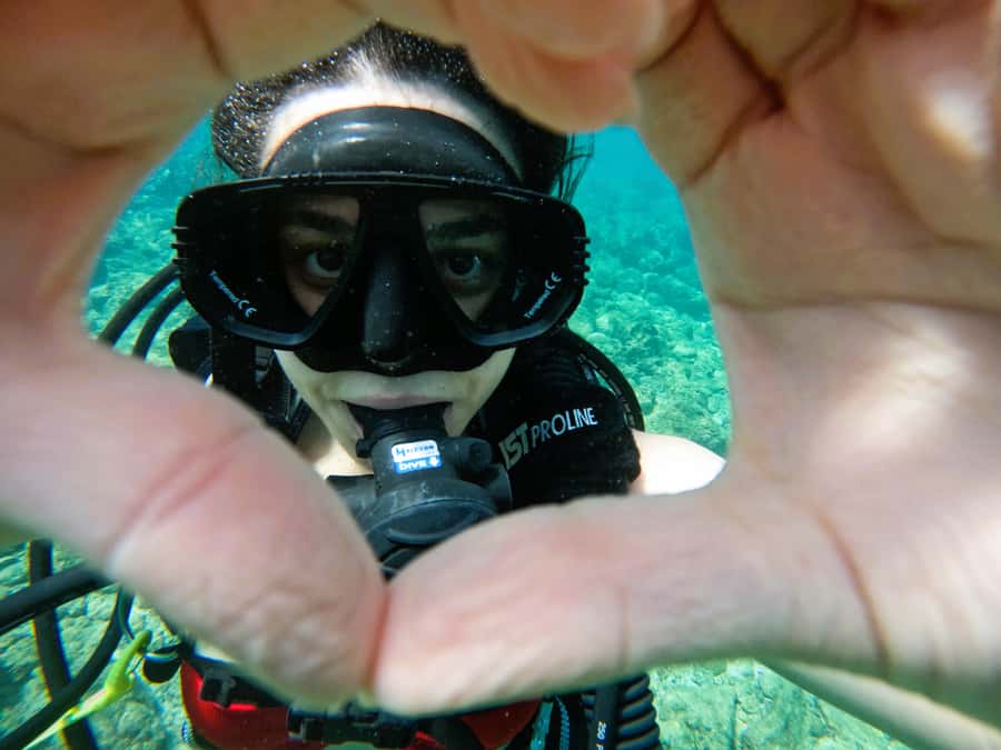 From Dubai: Try Scuba Diving, Snorkeling with BBQ & Transfer - What The $163 Price Really Covers