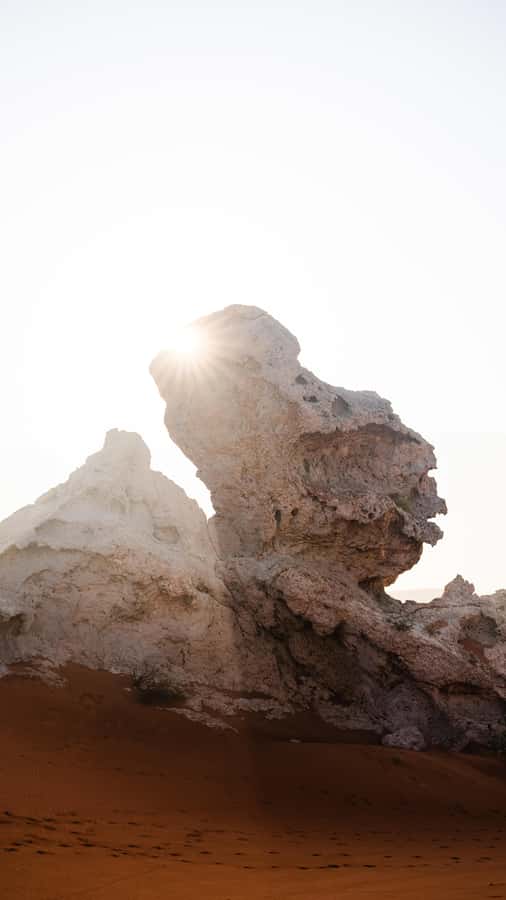 From Dubai: Zerzura Dune Buggy Experience & Fossil Discovery - Fossil Rock and the limits of the fossil stop