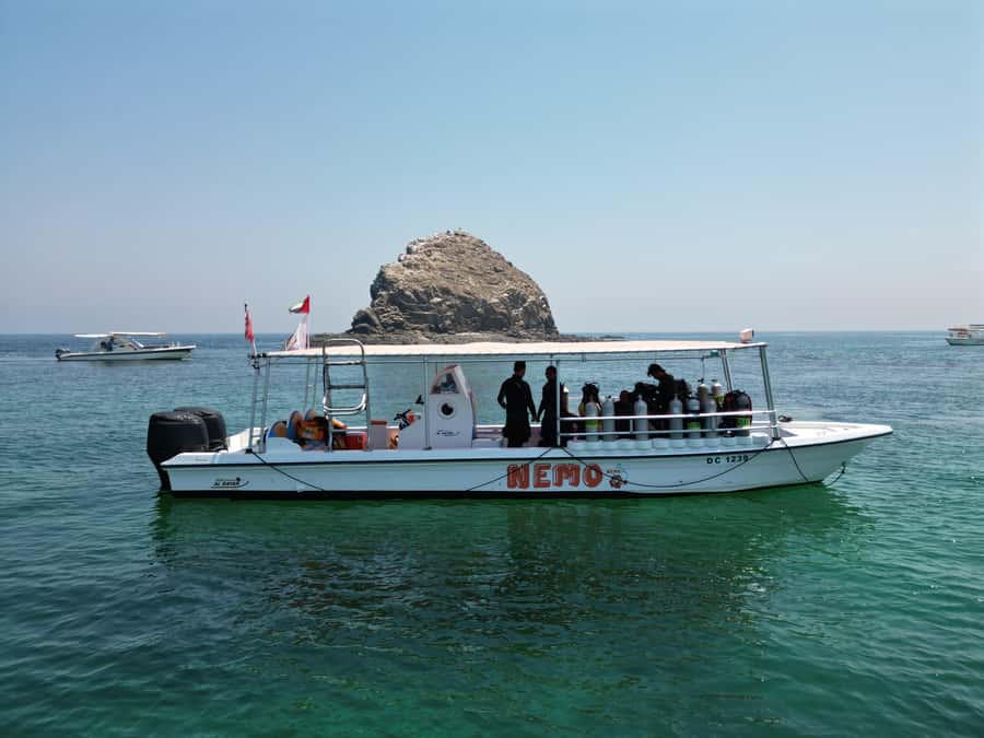 Fujairah: 2 Fun Dive Experience for Certified Divers - First session at Dibba Rock
