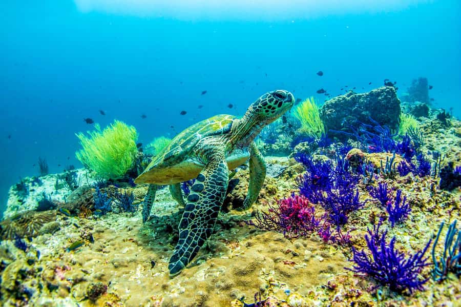 Fujairah: 2 Fun Dive Experience for Certified Divers - Arriving at the coast and preparing your gear