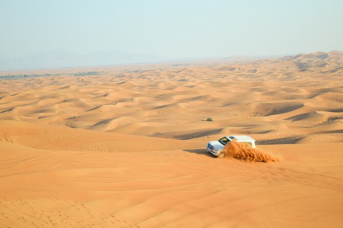 Full-Day Guided Red Dunes Desert Tour in Dubai with Camel Ride - Key points to know before booking