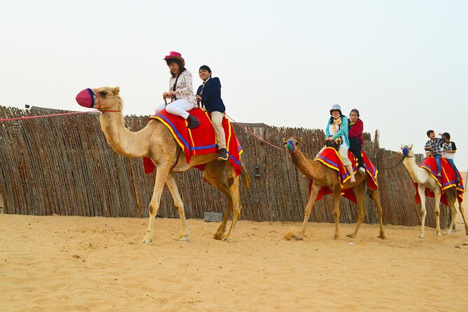 Full-Day Guided Red Dunes Desert Tour in Dubai with Camel Ride - Who will enjoy this desert safari most