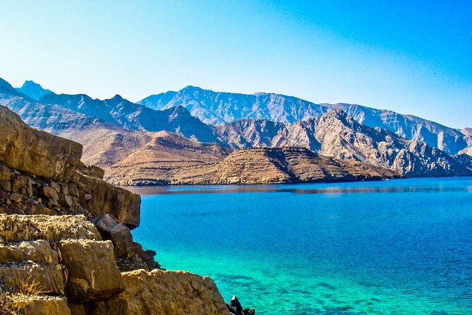 Full Day Musandam Dibba Cruise with Buffet Lunch - Is $90 a Fair Price?
