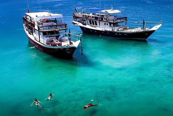 Full-Day Mussandam Cruise with Lunch Dibba - Key points to know