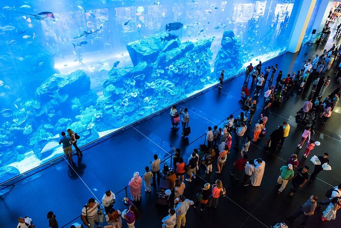 Full-Day Private Tour in Dubai - Why this private Dubai day works