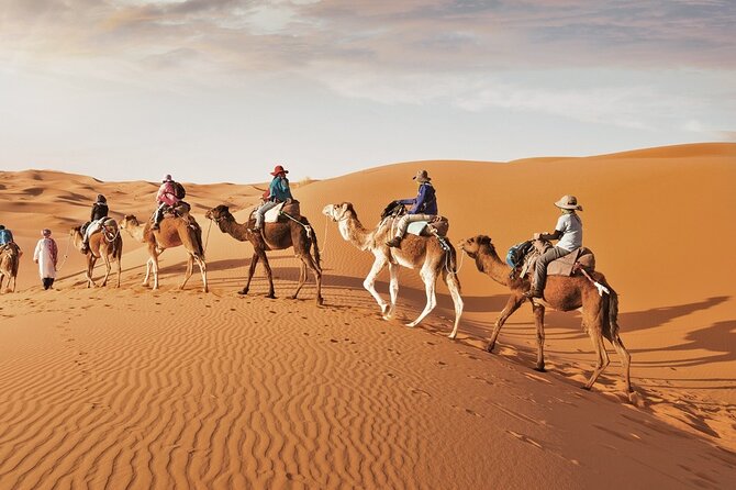 Full-Day Small-Group Red Desert Safari with BBQ Dinner in Dubai - Who Should Book This Safari?