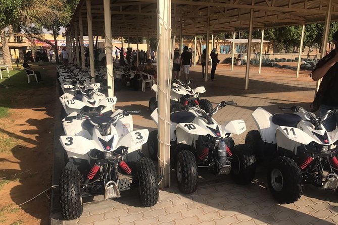 Golden Dunes & Sunset Safari with BBQ, Camel Ride & Sandboarding - Optional Quad Bikes, Buggies, and Falcon Photos