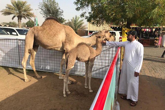 Golden Dunes & Sunset Safari with BBQ, Camel Ride & Sandboarding - BBQ Dinner and Evening Entertainment