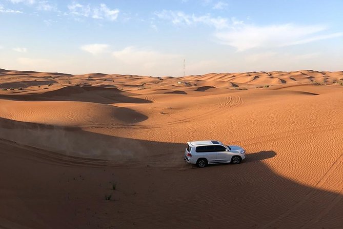 Half-Day Evening Desert Safari in Dubai with BBQ Dinner - What the $39.31 price really covers