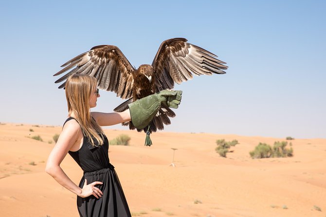 Half-Day Evening Desert Safari in Dubai with BBQ Dinner - Sunset on the dunes and a camel stop