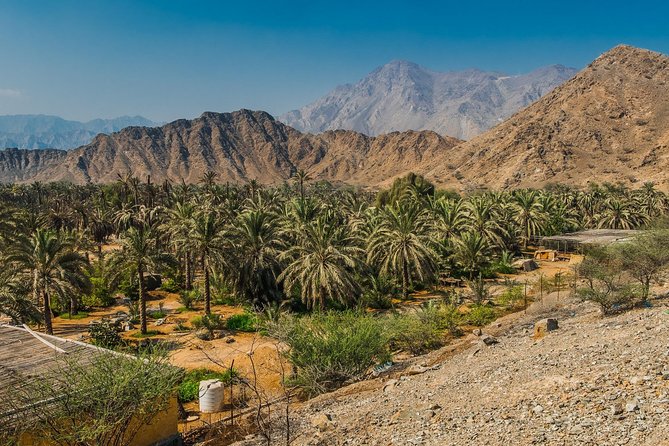 Hatta Mountain Adventure Tour - Is $125 per person good value?