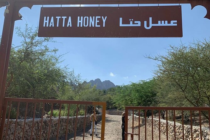 Hatta Mountain Tour Discoverd Hidden Dubai Gems - Hatta Water Dam: The Tour’s Main Activity Stop