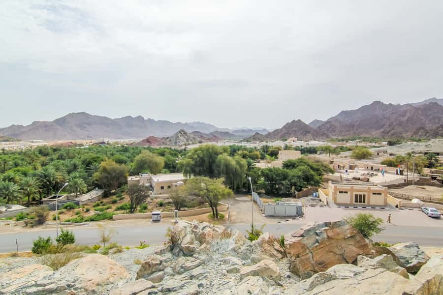 Hatta Safari & Honey Bee Garden Visit - From Dubai’s city lights to Hatta’s rocky foothills