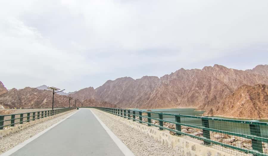 Hatta Safari & Honey Bee Garden Visit - How the guides shape the morning