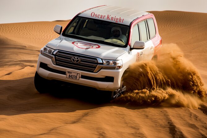 High Red Dunes with Camel Ride, Sandboarding, Falcon Show and VIP BBQ Dinner - From Dubai Hotel to the Lahbab Desert