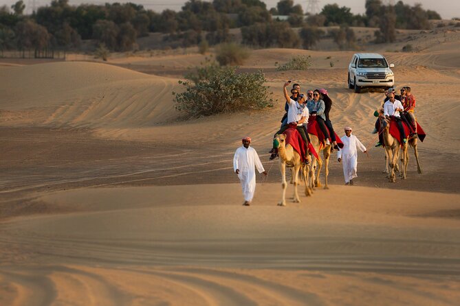 High Red Dunes with Camel Ride, Sandboarding, Falcon Show and VIP BBQ Dinner - Camel Ride and Falconry