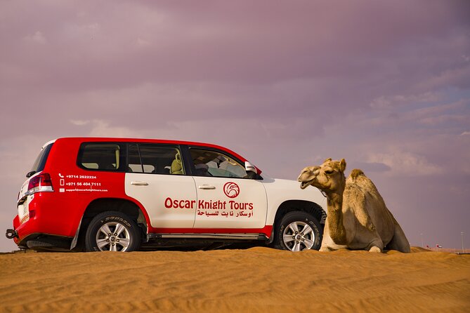 High Red Dunes with Camel Ride, Sandboarding, Falcon Show and VIP BBQ Dinner - How Good Is the $80 Value?