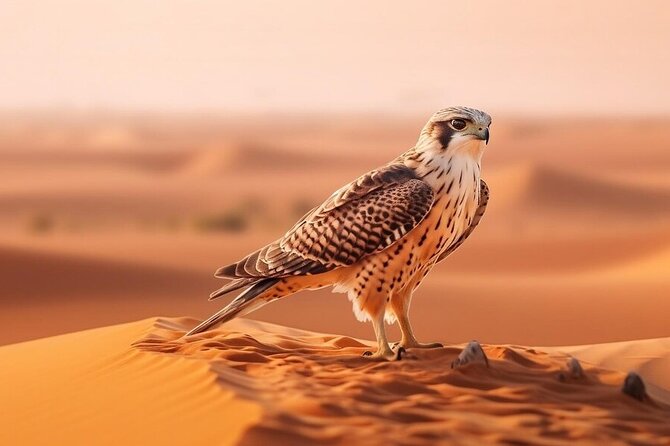 Hot Air Balloon Dubai Exotic Sunrise With Buffet Breakfast - Rising Above Margham’s Golden Dunes