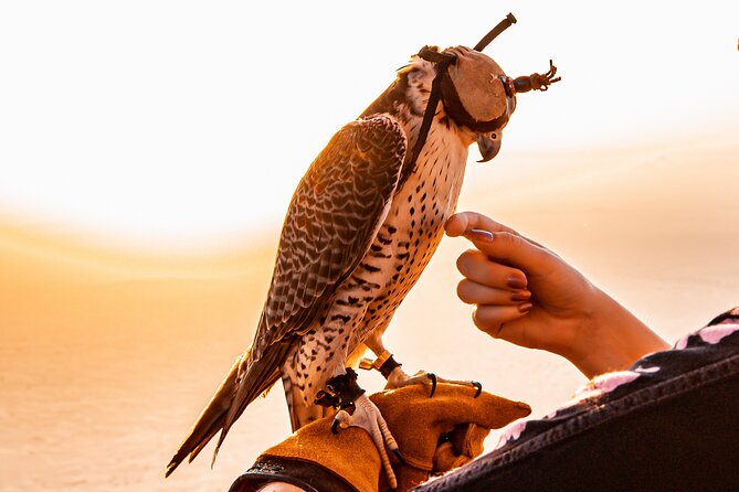 Hot Air Balloon Ride & In-flight Falcon Show including Transfers - The pilot, crew, and landing