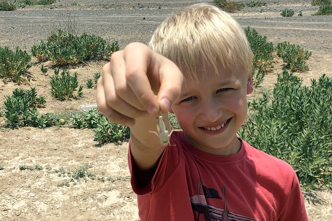 Journey to the Heart of the Emirates - Wadi Showkah brings the day into nature