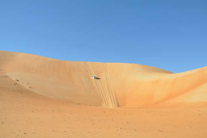 Liwa Full Day Desert Safari (exploring) - Sandboarding on a huge natural slope