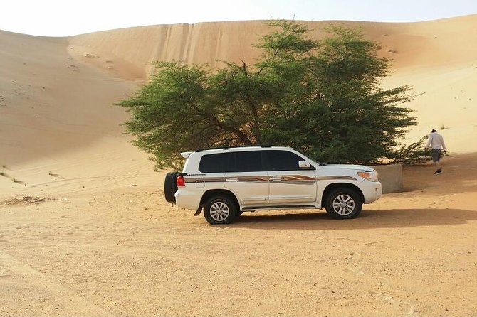 Liwa Full Day Desert Safari from Abu Dhabi - Key points at a glance