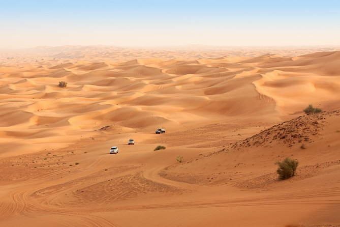 Liwa Full Day Desert Safari from Abu Dhabi - Dune bashing in the Liwa sand