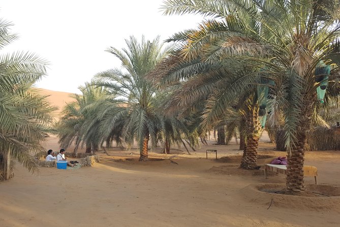 Liwa Oasis Desert Drive from Abu Dhabi - Why the $350 price may be fair