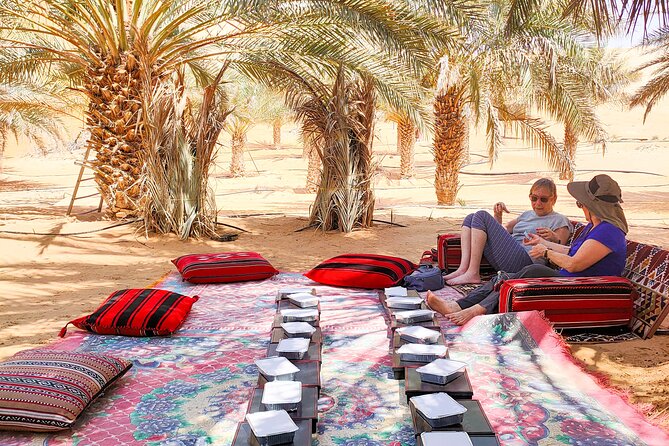 Liwa Oasis Desert Drive from Abu Dhabi - Looking for gazelle, rabbits, and lizards