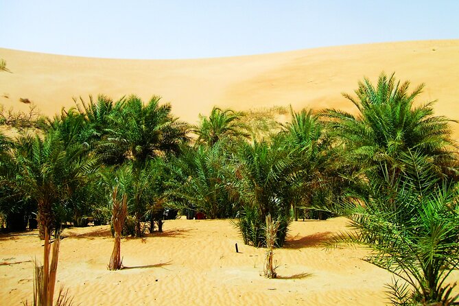 Liwa Over Night Safari - Stargazing in Rub Al Khali