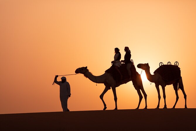 Luxury Desert Safari with Michelin-Curated Fine Dining Experience - Falconry, sunset light, and a short performance