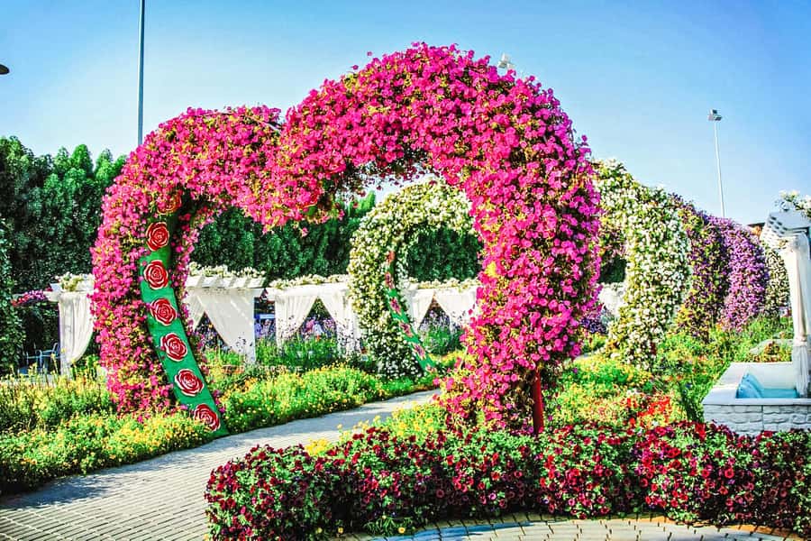 Miracle Flora & Fauna Marvels at Miracle Garden - Key details before you book