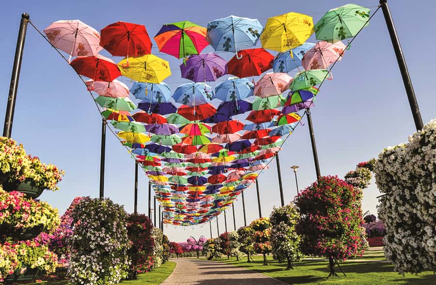 Miracle Flora & Fauna Marvels at Miracle Garden - A short walk to Miracle Garden