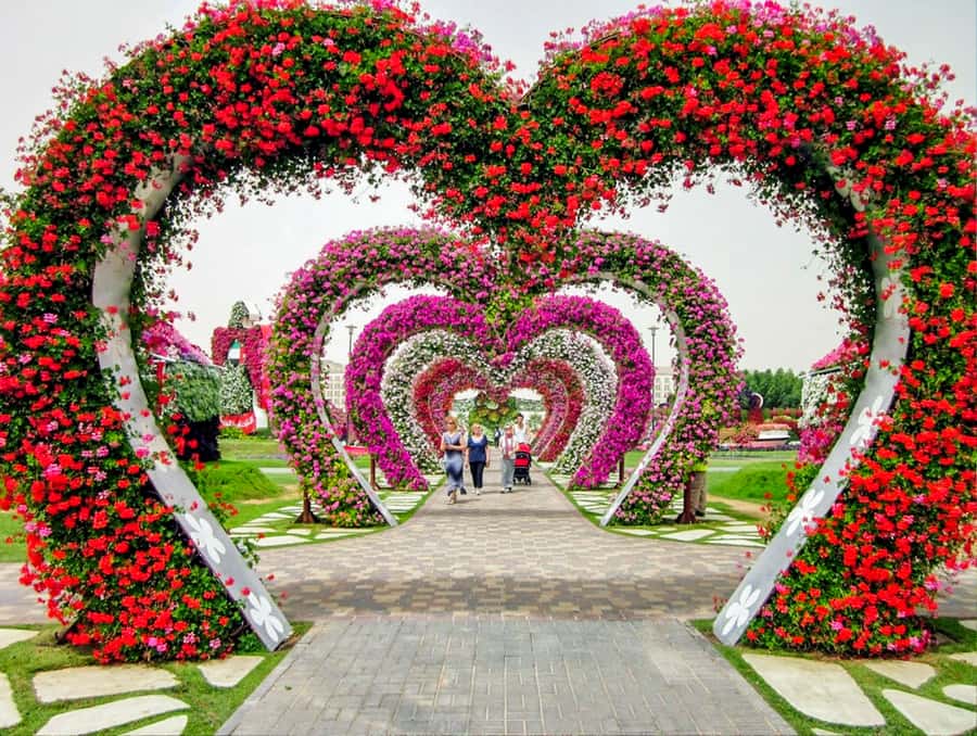 Miracle Flora & Fauna Marvels at Miracle Garden - The value of $114 per person