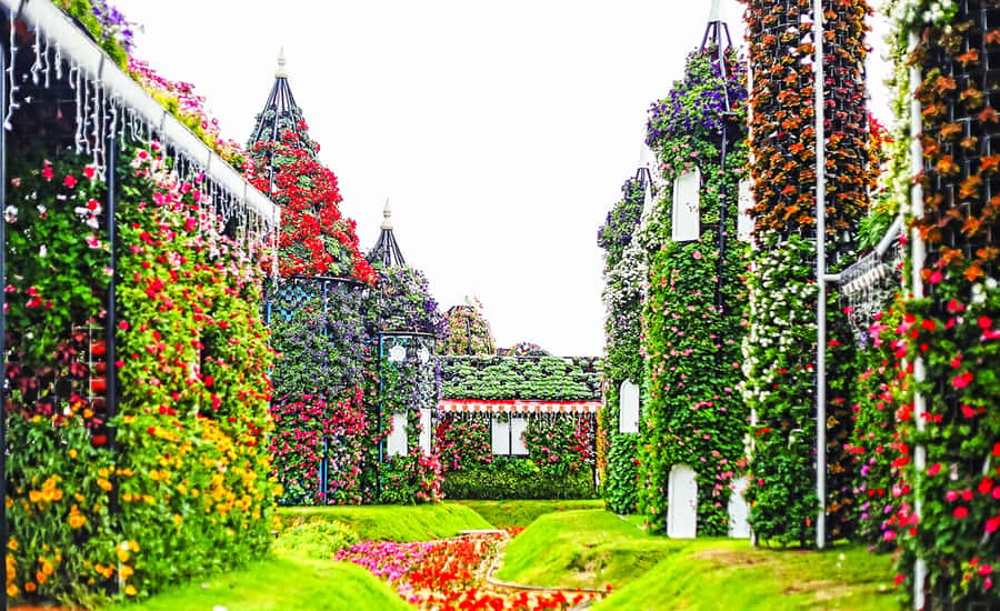 Miracle Flora & Fauna Marvels at Miracle Garden - What the guide and driver service is like