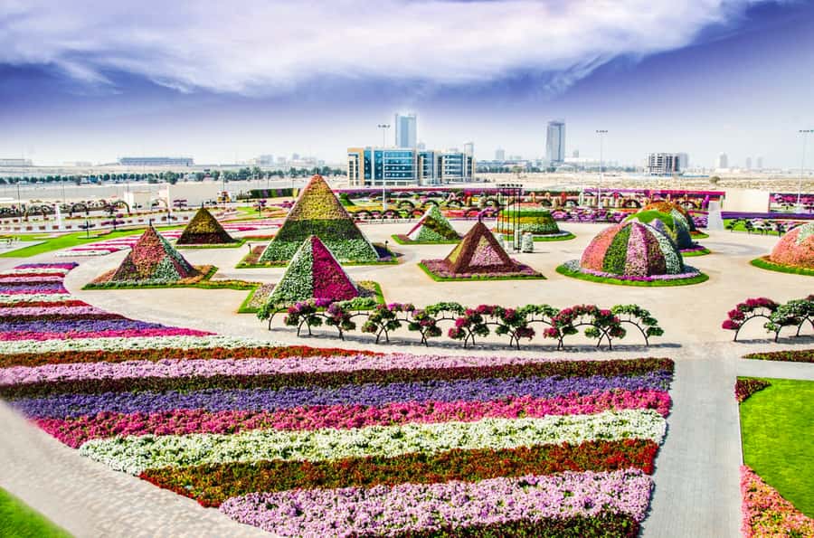 Miracle Flora & Fauna Marvels at Miracle Garden - Who will enjoy this outing most?