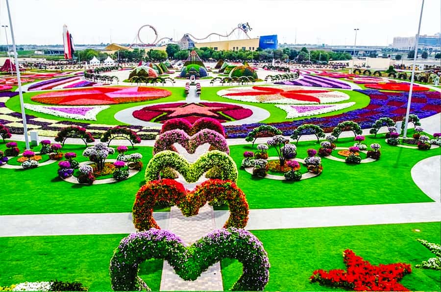 Miracle Flora & Fauna Marvels at Miracle Garden - Butterfly Garden’s nine domes