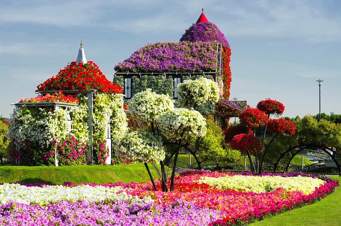 Miracle Garden and Global Village Dubai with transfers - Miracle Garden: one hour among 45 million blooms