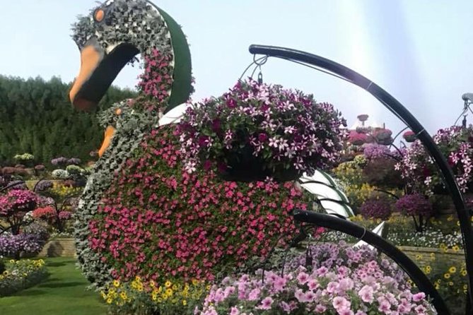 Miracle Garden & Butterfly Garden with Ticket & Private Transfers - Inside the Butterfly Garden’s cooled domes