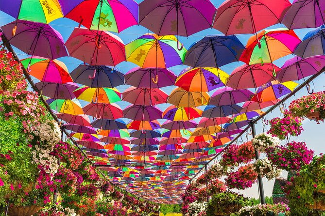 Miracle Garden In Dubai tickets with pickup drop option - Is the $36.28 price fair?